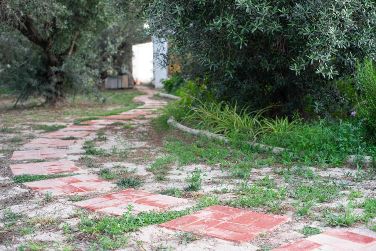 Casa De Campo Mediterranea En Alicante Agost Buitenkant foto